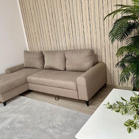 Cosy Place To Stay ทิมิชัวรา ภายนอก รูปภาพ